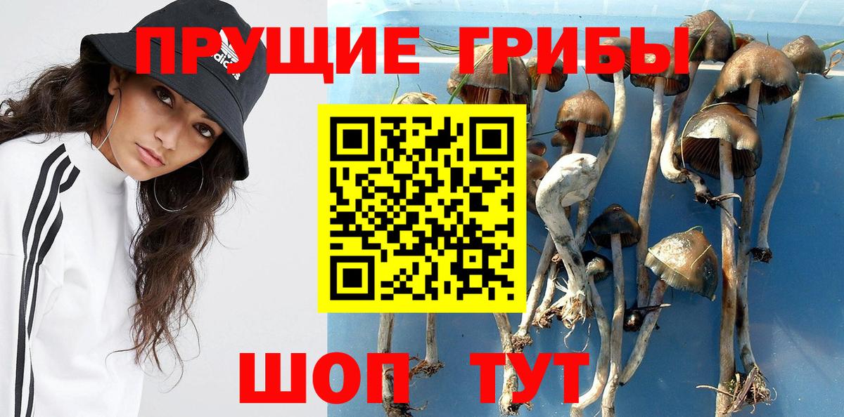 Галлюциногенные грибы мухоморы Алатырь
