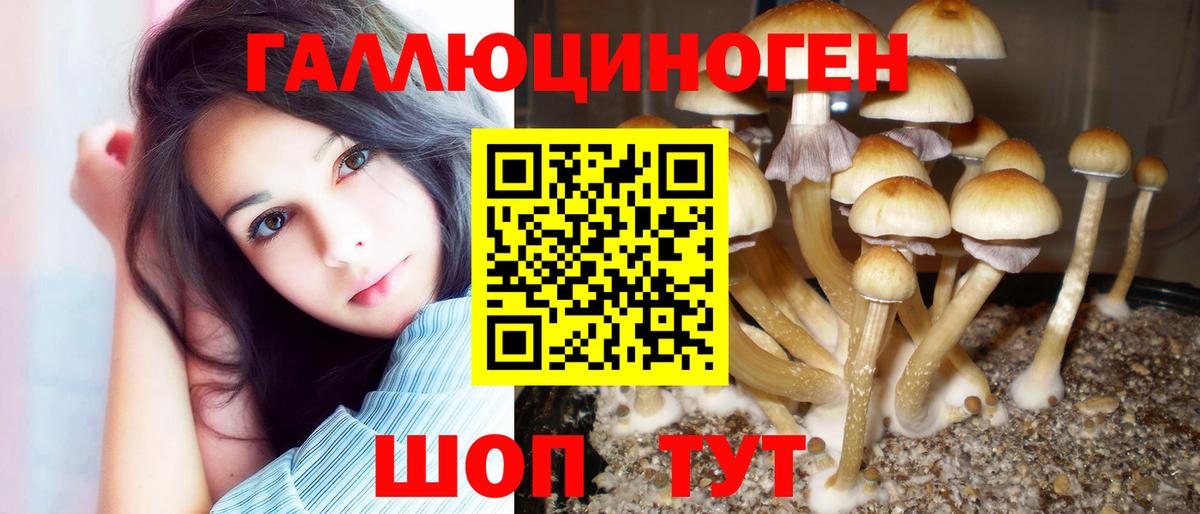 Галлюциногенные грибы Cubensis  где купить   Алатырь  Вход с VPN 